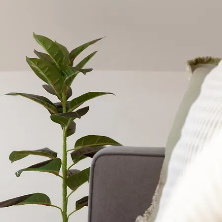 Appartement Crown View *